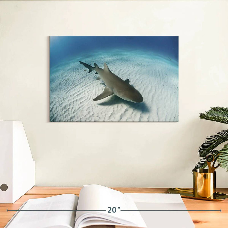Brampt Lemon Shark Over The Seabed, 8" H x 12" W