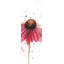 Rose marguerite - reproduction encadrée romantique mate pour la décoration intérieure