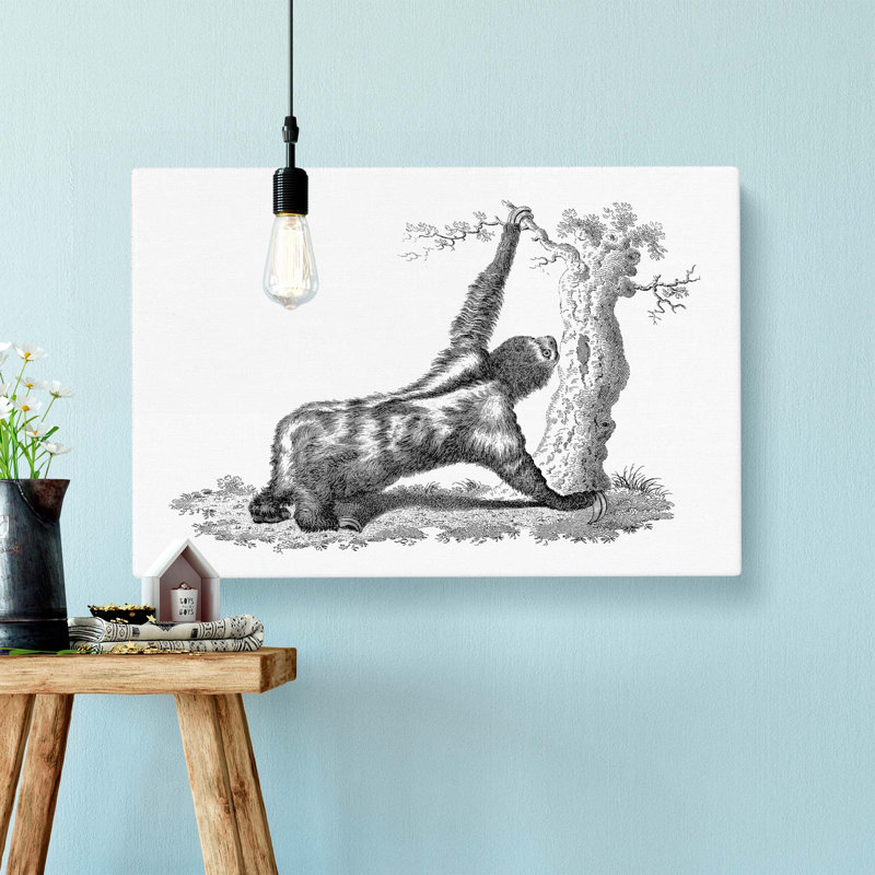 Three-toed Sloth In Black & White by George Shaw - Wrapped Canvas, 35cm H x 50cm W x 3cm D