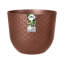 Plant Pot-72816986-72816987