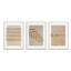 Circular - 3 Piece Single Picture Frame Painting Set on Wood