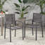 Chaise de salle à manger d'extérieur moderne en aluminium avec siège en corde (ensemble de 2)