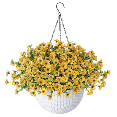 Daisy Hanging Basket Arrangement in Basket