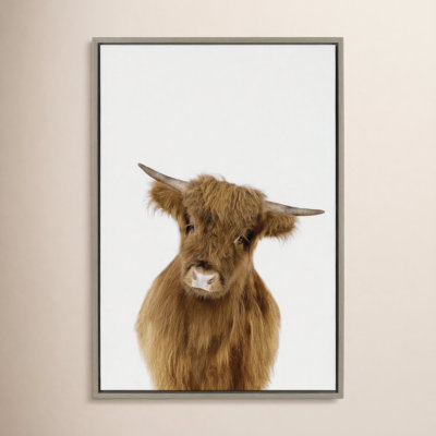 Baby Highland Calf Print by Amy Peterson
