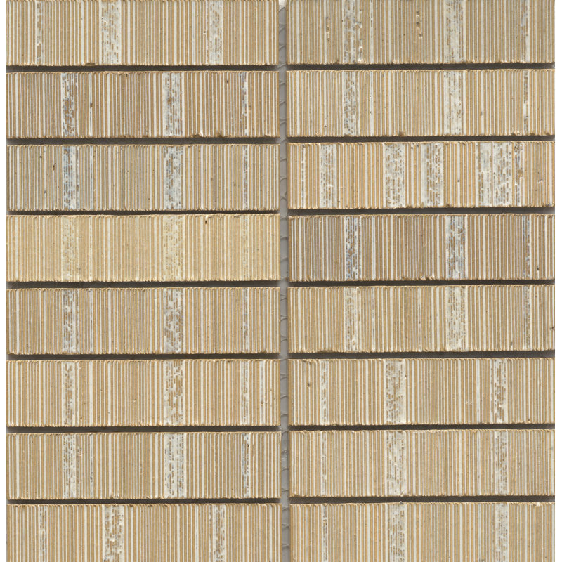 Newtro 12 x 12 Ceramic Decorative Accent Tile, Ivory