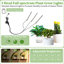 Plant Stand