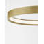 1 - Light Brushed Gold LED Unique/Statement Pendant