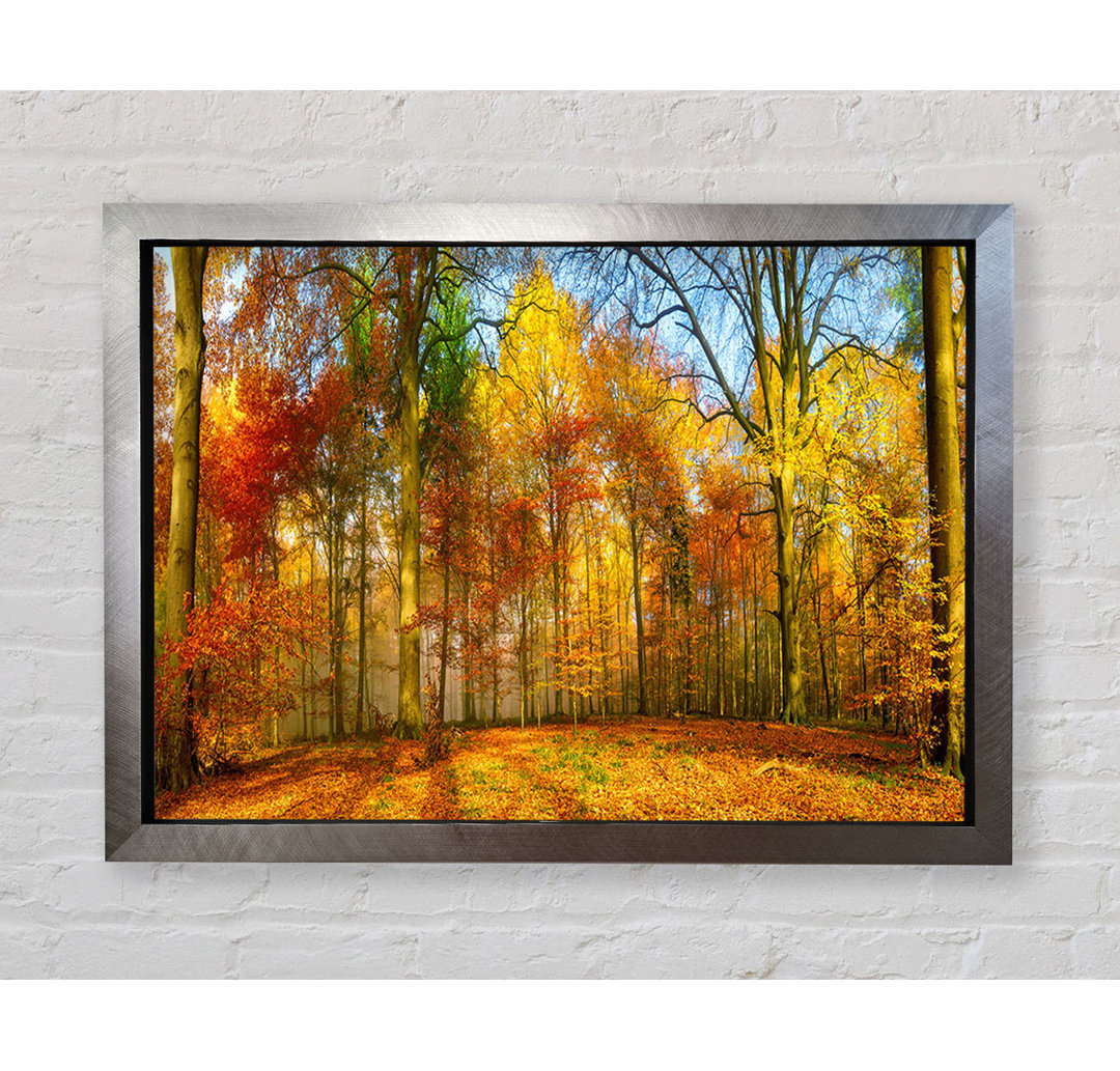 Autumn Forest Soft - Einzelner Bilderrahmen Kunstdrucke