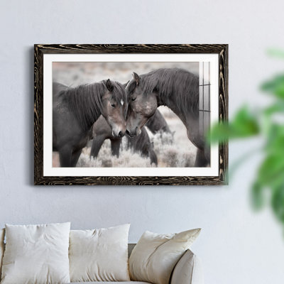 Chevaux sauvages - Photographie avec cadre photo