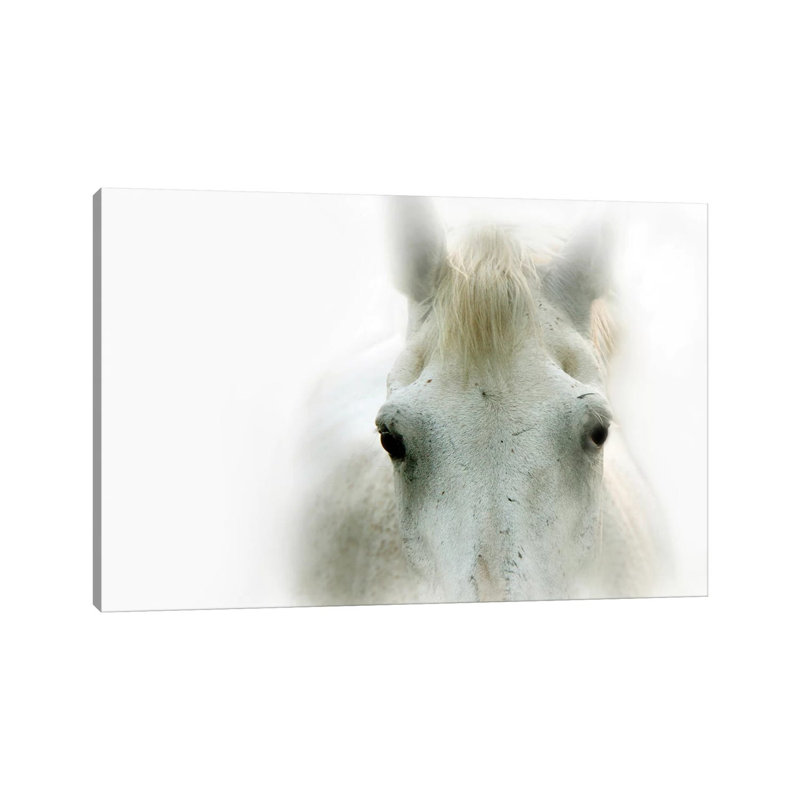 Blanco by Lu Anne Tyrrell - Wrapped Canvas Print, 20.32 cm H x 30.48 cm W