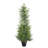 4' Artificial Real Touch Pine Tree in Black Plastic Pot, 1pc/set