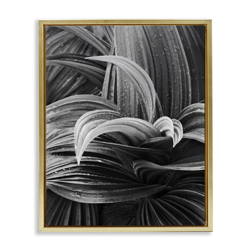 «Wet Leaves» par Chip Forelli, H 31 po x l 25 po, Cadre flottant métallique doré