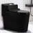 Dual-Flush Elongated One-Piece Toilet (Seat Included)