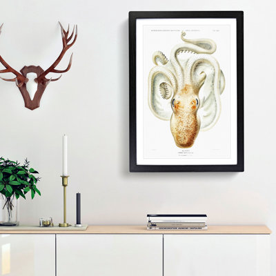 A Velodona Octopus by Carl Chun - Framed Print
