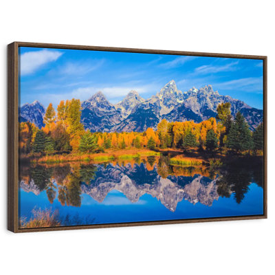 Feuillage doré Grand Teton