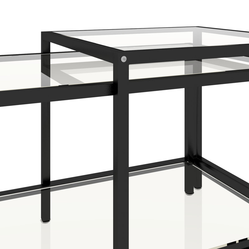 Edward-Matthew Four Leg Coffee Table with Storage, Clear/Black