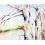 Napperon Birch Trunks Polyester décor à la maison