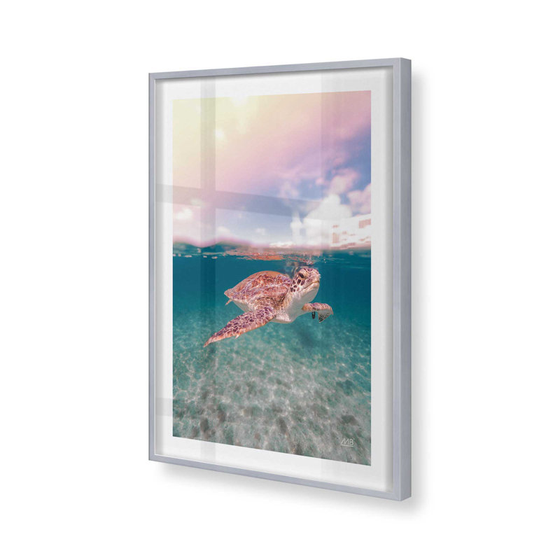 Imprimé Serene Sea Turtles , Argent, H 15 po x l 12 po, Reproduction encadrée avec passe-partout