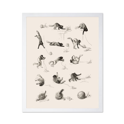 Cat Studies