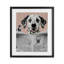 Impression sous-verre Dalmatian-783073237-783073239