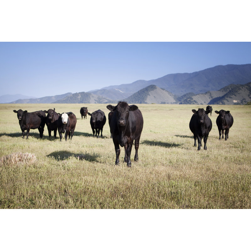 Cows In A Field by Bigdaddyrockstar - No Frame Art Prints on Canvas, 20cm H x 30cm W