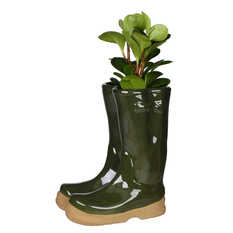 Carlson Ceramic Pot Planter, 29.5cm H x 24cm W x 16cm D, Dark 