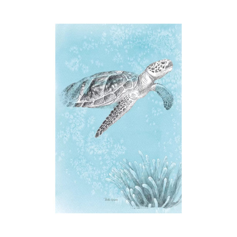 Coastal Sea Life I V2 by Beth Grove - Wrapped Canvas Gallery-Wrapped Canvas Giclée, 20.32 cm H x 30.48 cm W