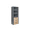 Ceji Bookcase