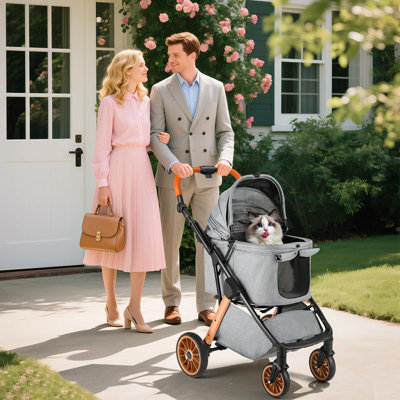 Foldable Pet Vehicle Travel Carrier