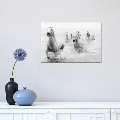 «We Are Coming» par Marketa Zvelebil - reproduction sur toile tendue