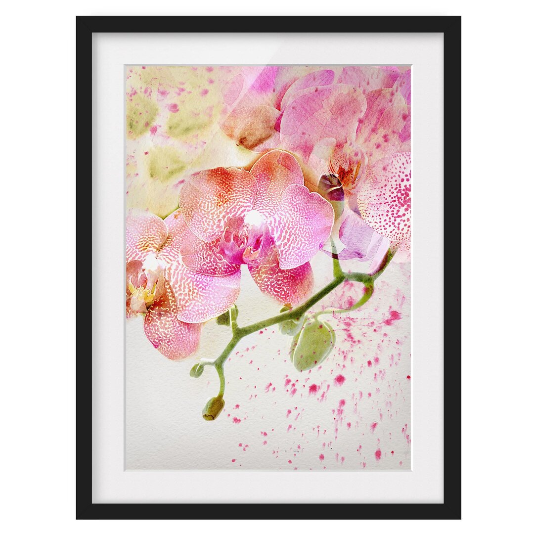 Gerahmtes Papierbild Aquarell Blumen Orchideen