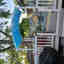 Photos des clients 1 de 1