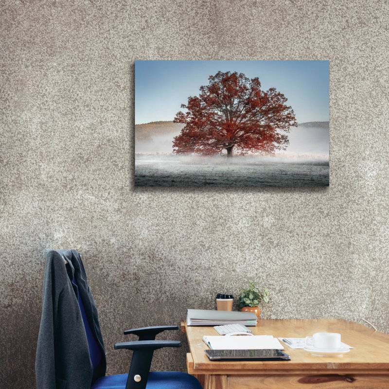 «Red Oak In The Mist» par Rick Berk, art mural sur toile, H 26 po x l 40 po