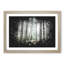 View of a Pine Tree Forest - Picture Frame Graphic Art Print-56876410-56876411