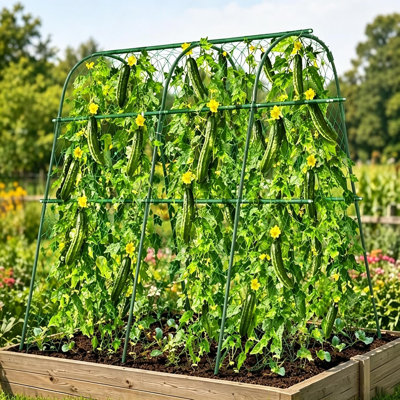 120cm H x 200cm W Steel Arched Trellis