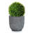 Ferat Handmade Pot Planter