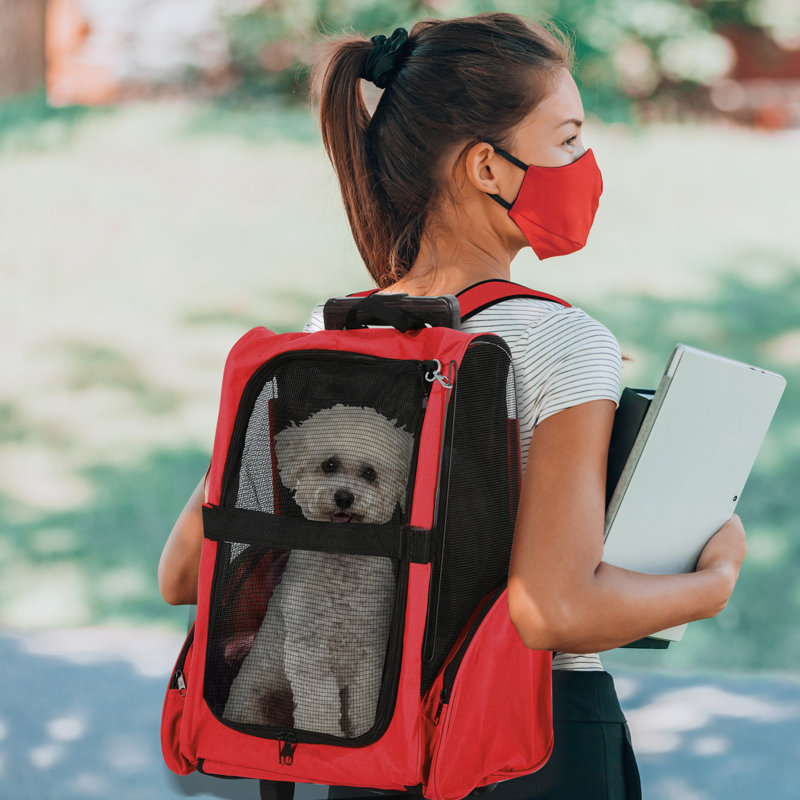Steel Collapsible Pet Carrier, Red