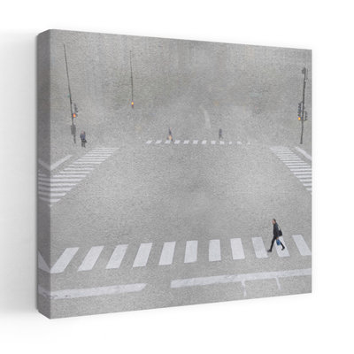 Pedestrian Friendly Abstract Contemporary Zebra City Wall Art 1 Piece Wrapped Canvas Wall Art
