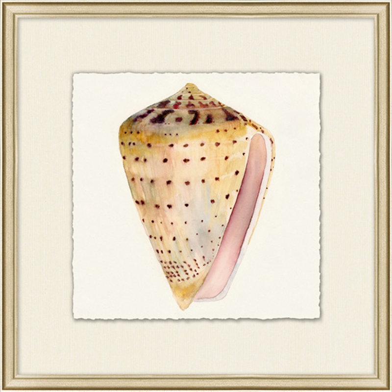 Watercolor Shell Collection 9 Painting