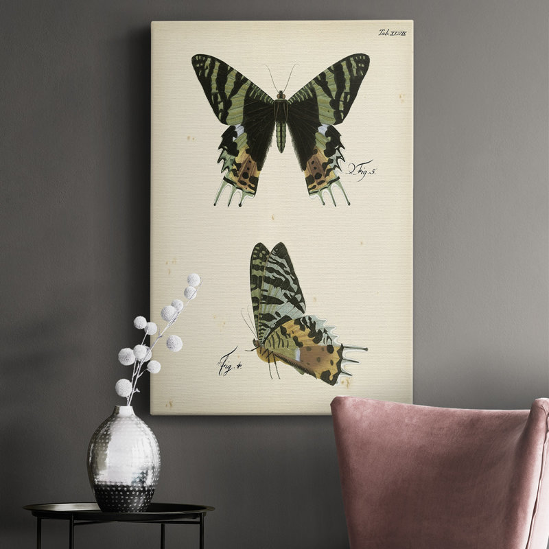 «Butterfly Profile III», impression sur toile tendue, H 60 po x l 40 po x P 1,5 po