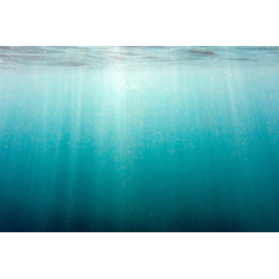 Sunbeams Shining Underwater by Searsie