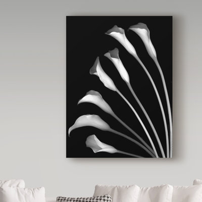 Dosta «Crystal Blush Calla Lilies» par Reproduction d'art graphique sur toile tendue