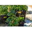 Haninah Metal Planter Box-1377415246