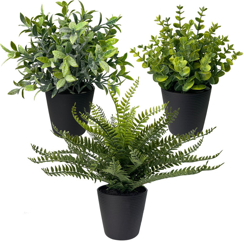 Peignes plantes d'eucalyptus artificiels en pot