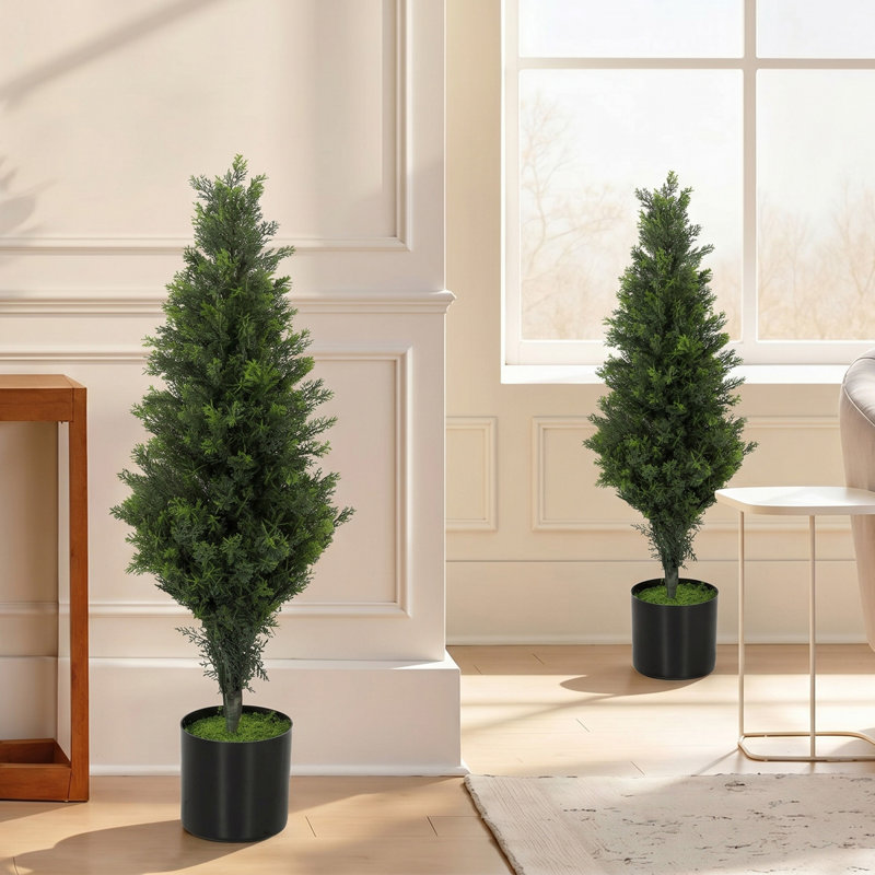 Plant, 90 (cm) x 29 (cm)