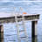 Aluminum Steps & Ladders-97876374