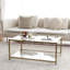 Cillian Four Leg Coffee Table with Storage