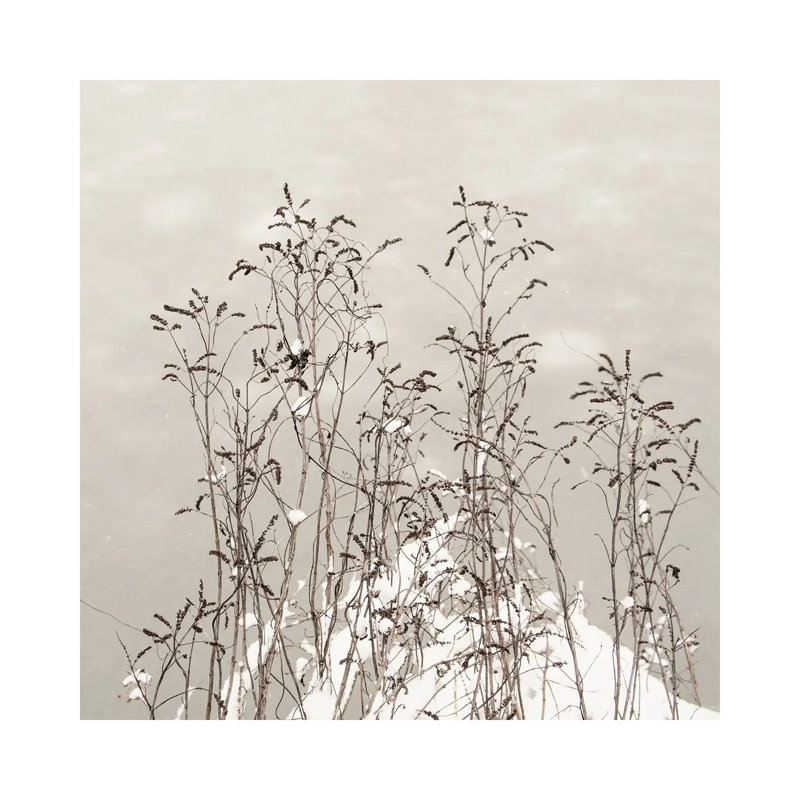 In Unison by Lena Weisbek - Wrapped Canvas Print, 93.98 cm H x 93.98 cm W x 3.175 cm D