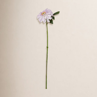 Dahlia Floral Stems