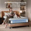 Novilla Cooling Zones Support Pocket Sprung Mattress-124802932-124802934